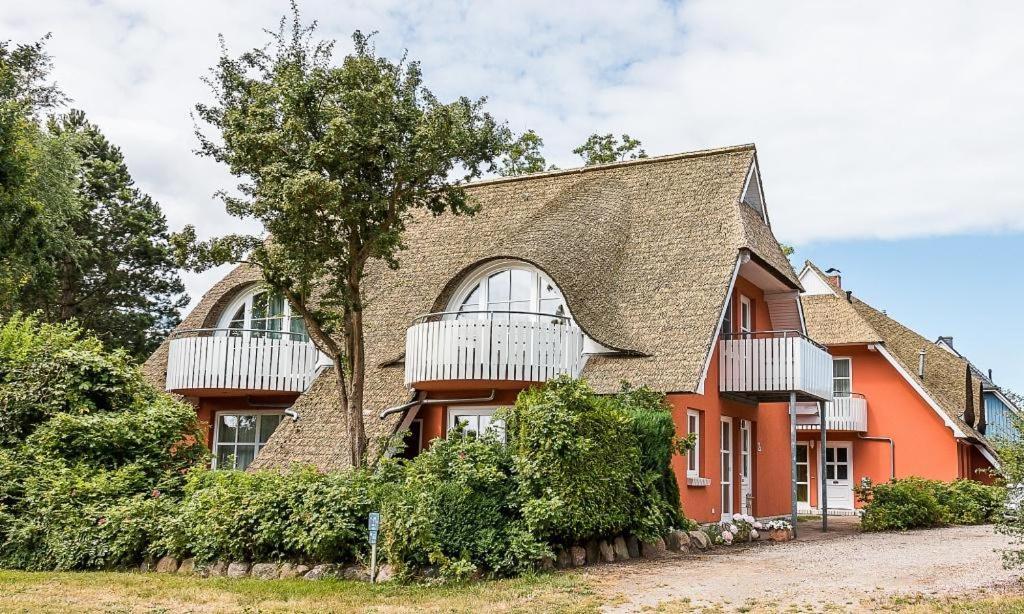 Ferienwohnung Eule Born Exterior foto