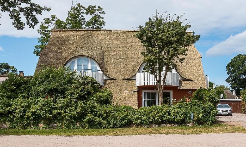 Ferienwohnung Eule Born Exterior foto